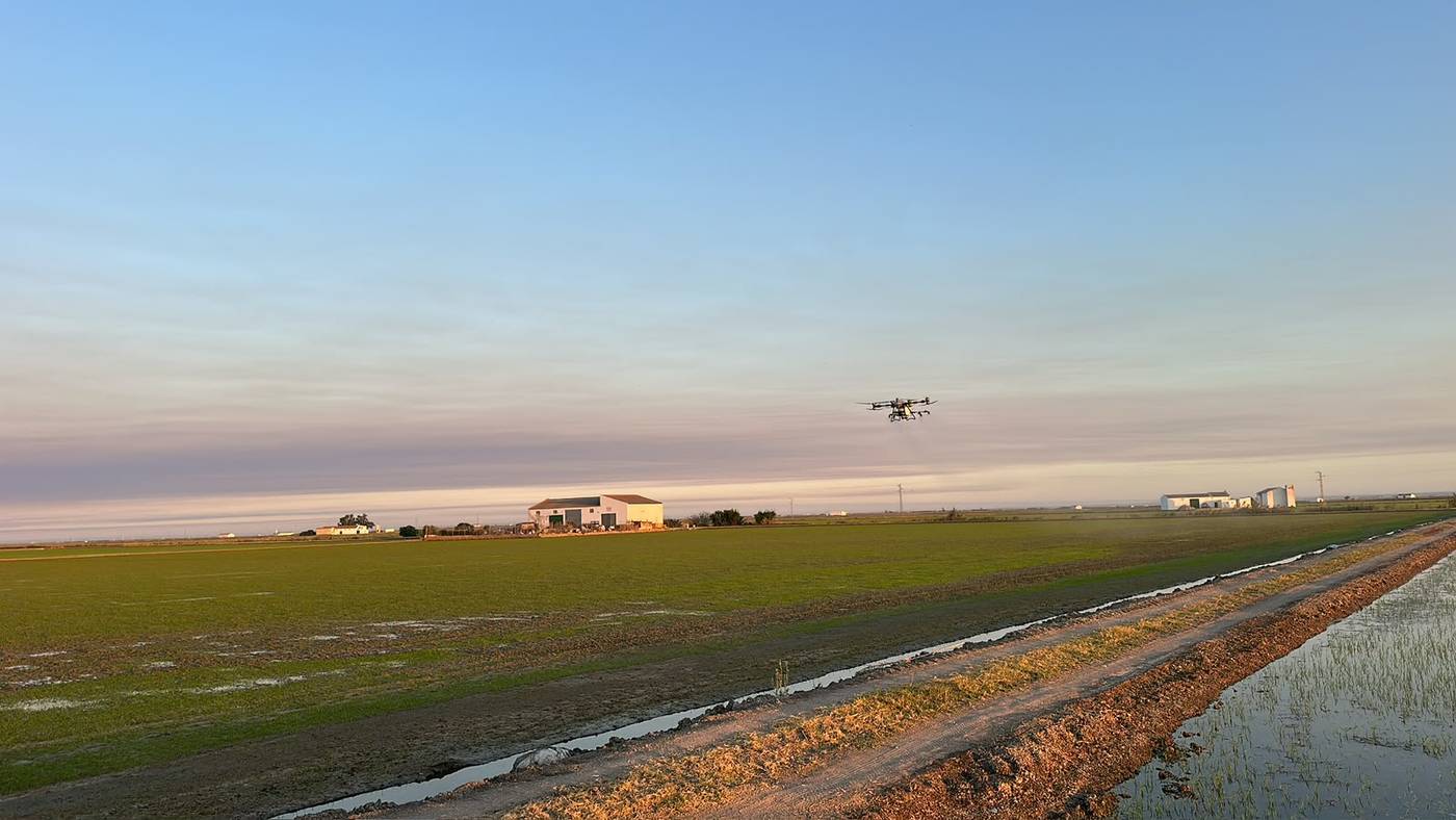 Agricultural drone flying over a crop