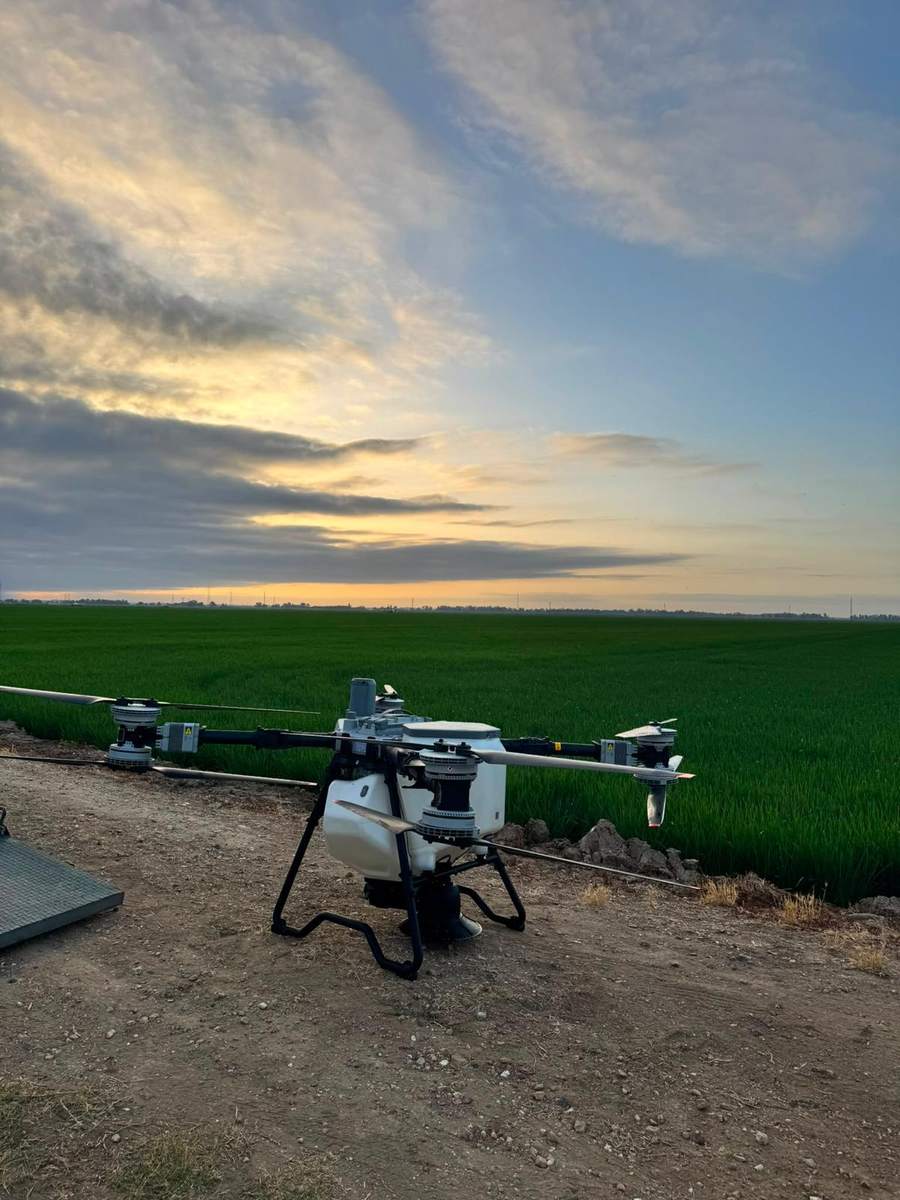Spraying drone in the field at sunset